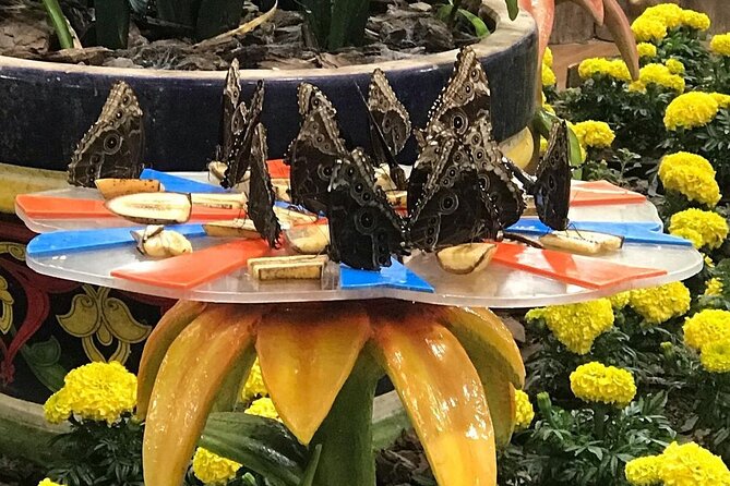 Dubai Butterfly Garden Entry Ticket - Terms and Conditions