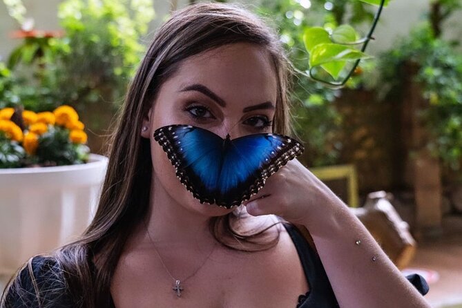 Dubai Butterfly Garden Entry Ticket - Cancellation Policy