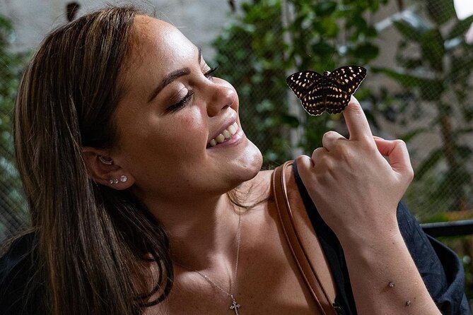 Dubai Butterfly Garden Entry Ticket - Reviews