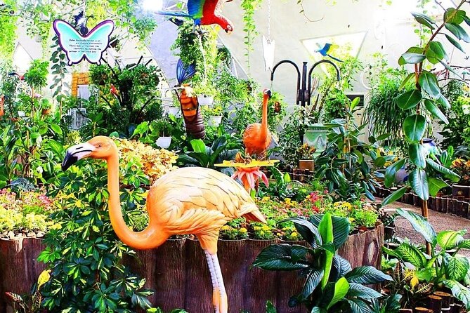 Dubai Butterfly Garden Tickets - Whats Included