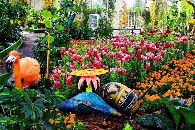 Dubai Butterfly Garden Tickets - Meeting and Pickup