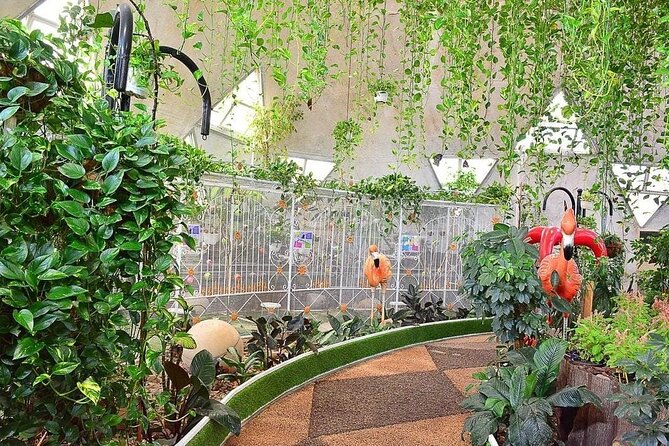 Dubai Butterfly Garden Tickets - Explore the Dubai Butterfly Garden