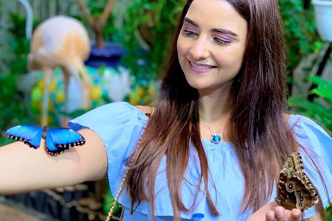 Dubai Butterfly Garden Tickets With Private Transfers - Highlights of the Butterfly Garden