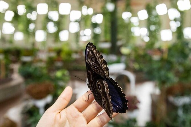 Dubai Butterfly Garden Tickets With Private Transfers - How to Book Dubai Butterfly Garden Tickets