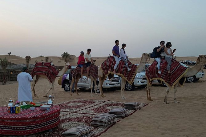 Dubai Camel Caravan With BBQ Dinner Buffet - Overview of the Dubai Camel Caravan Experience