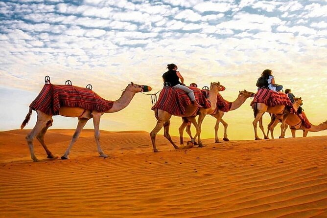 Dubai Camel Caravan With BBQ Dinner Buffet - Cancellation Policy for the Camel Caravan Experience