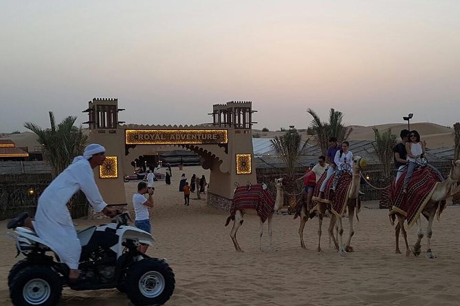 Dubai Camel Caravan With BBQ Dinner Buffet - The Sum Up
