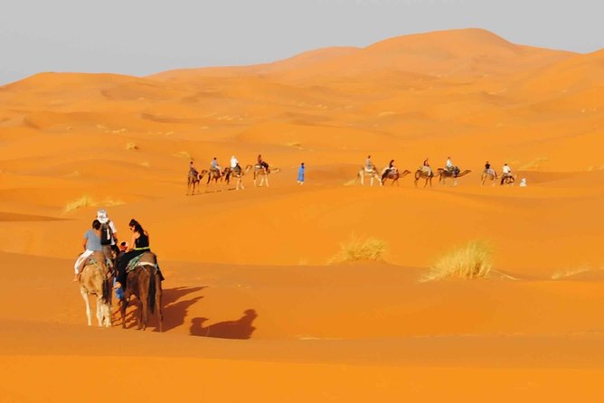Dubai Camel Rock Desert Safari Nonstop Adventurous Drive and Dune Bashing - Cancellation Policy
