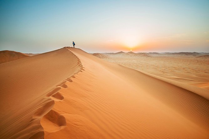 Dubai Camel Rock Desert Safari Nonstop Adventurous Drive and Dune Bashing - The Sum Up