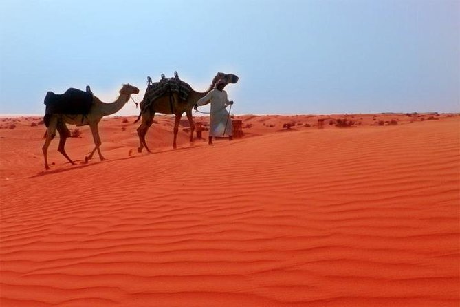 Dubai City Tour and Desert Safari - Highlights of the City Tour