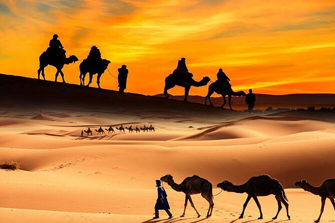 Dubai City Tour and Desert Safari - Praise for City Tour