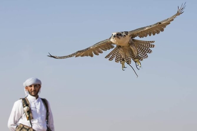Dubai City Tour and Desert Safari Dubai With BBQ Dinner - Booking and Reservation Process