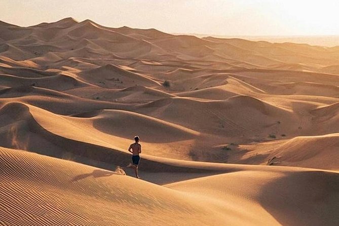 Dubai City Tour And Desert Safari With Dinner - Tour Highlights