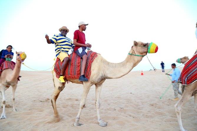 Dubai City Tour and Dinner in the Desert With Traditional Show - Product Code and Viator Help Center