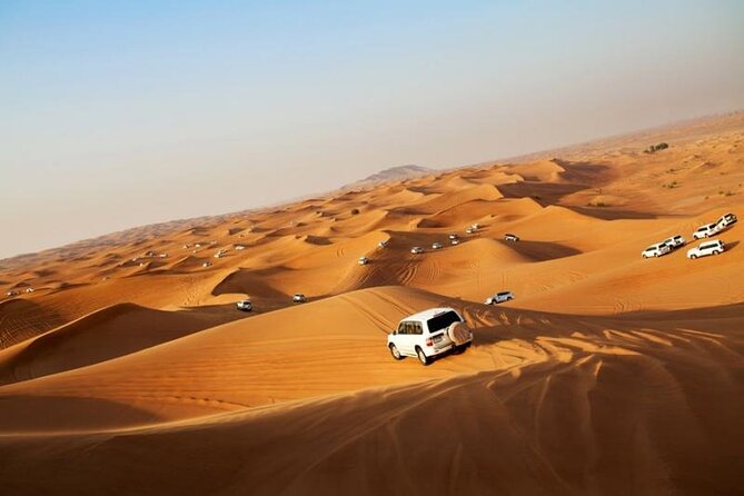 Dubai City Tour and Evening Desert Safari Combo - Good To Know