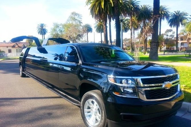 Dubai City Tour by Luxury Stretch Limousine - Limousine Features