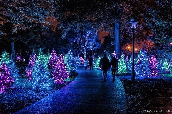 Dubai City Tour Glow Garden With Transfer - Rich History of Dubai City