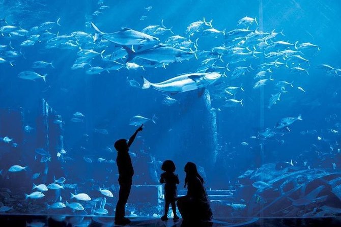 Dubai City Tour - Half Day - Atlantis Hotel