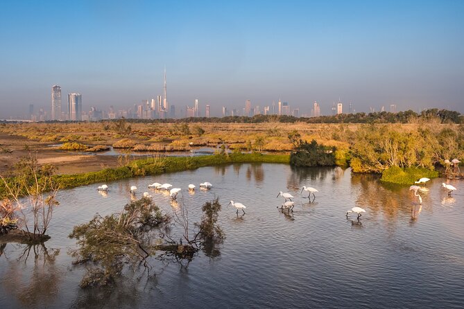 Dubai City Tour With Burj Khalifa - Booking Information