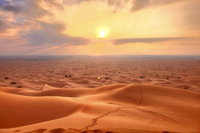 Dubai City Tour With Desert Safari - Meeting and Pickup Details