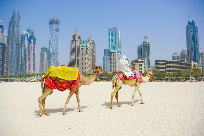 Dubai City Tour With Desert Safari & BBQ Dinner - Tour Pricing and Booking