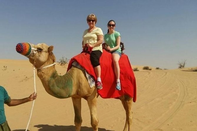 Dubai City Tour With Desert Safari Dubai - Tour Highlights and Inclusions
