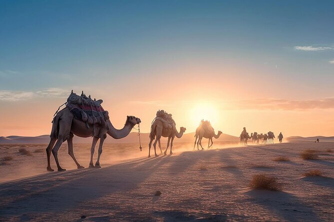 Dubai City Tour With Desert Safari Full Day Private Tour. - Desert Safari Activities