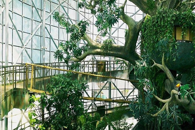 Dubai City Tour With Green Planet Ticket - Pricing and Additional Details