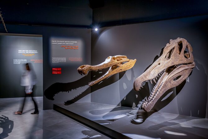 Dubai Crocodile Park - Maximum Number of Travelers and Operator