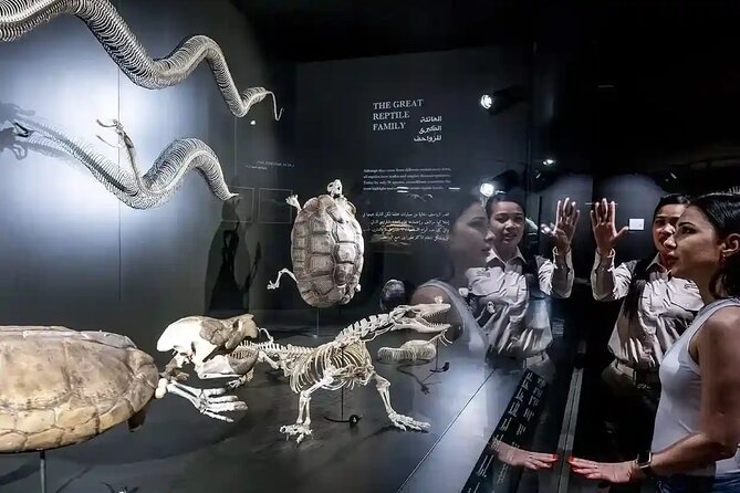 Dubai Crocodile Park Ticket With Optional Private Transfer - Important Details About the Crocodile Park