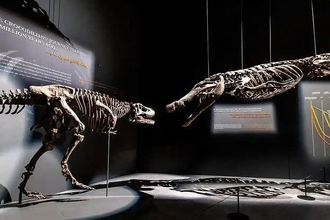 Dubai Crocodile Park Ticket With Optional Private Transfer - The Sum Up