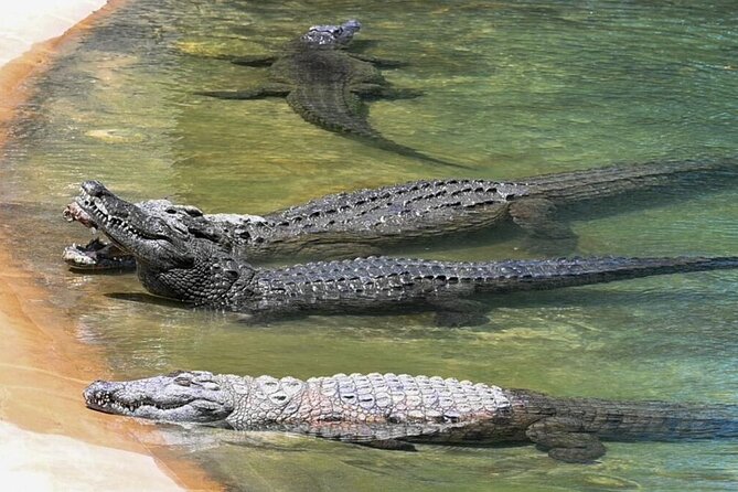 Dubai Crocodile Park Ticket With Transfers - Cancellation Policy