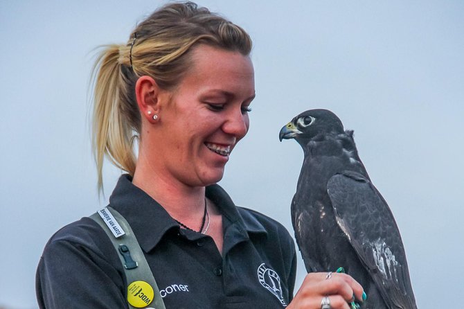 Dubai Desert 4x4 Dune Bashing, Sandboarding, Camel Riding, Dinner - Cancellation Policy and Additional Information