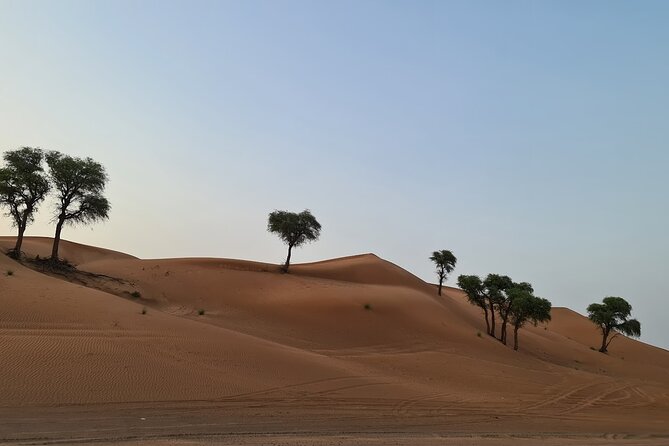 Dubai Desert 4x4 Dune Bashing, Self-Ride 30min ATV Quad, Camel Ride,Shows,Dinner - Round-Trip Transfers