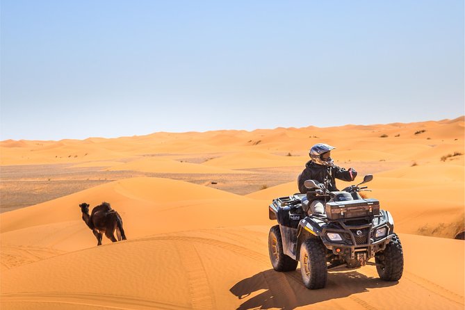 Dubai Desert 4x4 Safari, ATV Quad Bike 30 Mins, BBQ, Shows - Cancellation Policy
