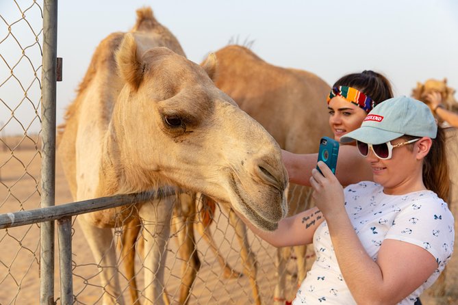 Dubai Desert 4x4 Safari With BBQ Dinner, Camel Ride,Sand Boarding - Henna Tattoos, Tanoura Folk Dance, and BBQ Dinner