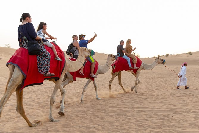 Dubai Desert 4x4 Safari With BBQ Dinner, Camel Ride,Sand Boarding - Pickup and Transportation Details