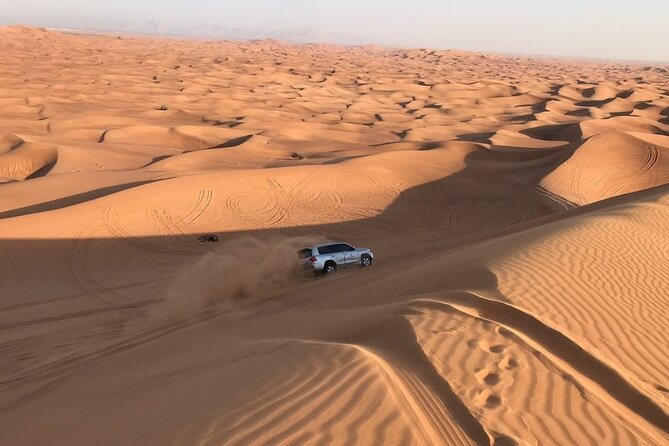 Dubai Desert 4x4 Safari With Camp Activities & BBQ Dinner - Reviews: Insights From Viator Travelers