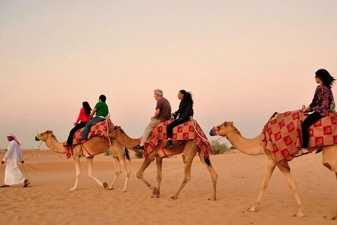 Dubai Desert Adventure Tour and BBQ Dinner - Traveler Photos and Reviews