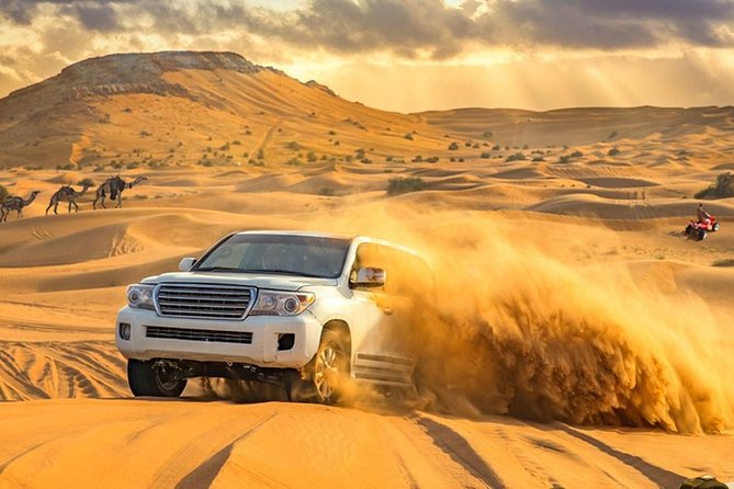 Dubai Desert Adventure Tour and BBQ Dinner - Cancellation Policy