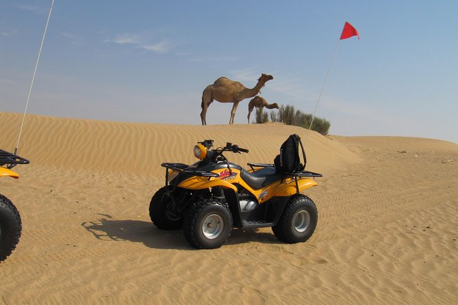 Dubai Desert Afternoon Quad Safari With Camel Ride, BBQ Dinner and Belly Dancing - The Sum Up