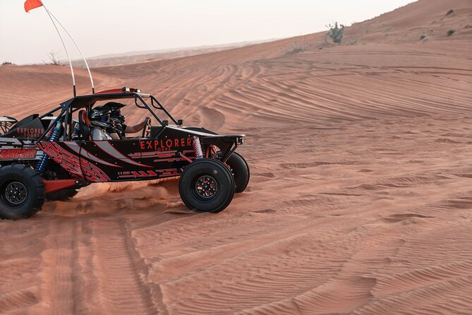 Dubai Desert Dune Buggy Fossil Rock Tour (No Transfers) - Experience Details