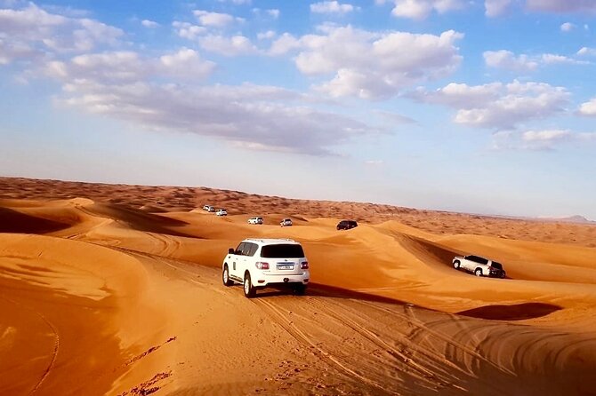 Dubai Desert Morning Dune Bashing, Sandboarding & Camel Ride - Morning Desert Experience
