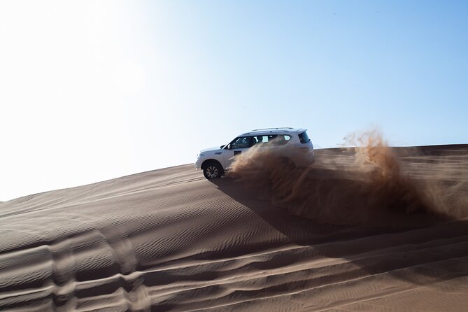 Dubai Desert Morning Dune Bashing, Sandboarding & Camel Ride - Camel Ride in the Desert
