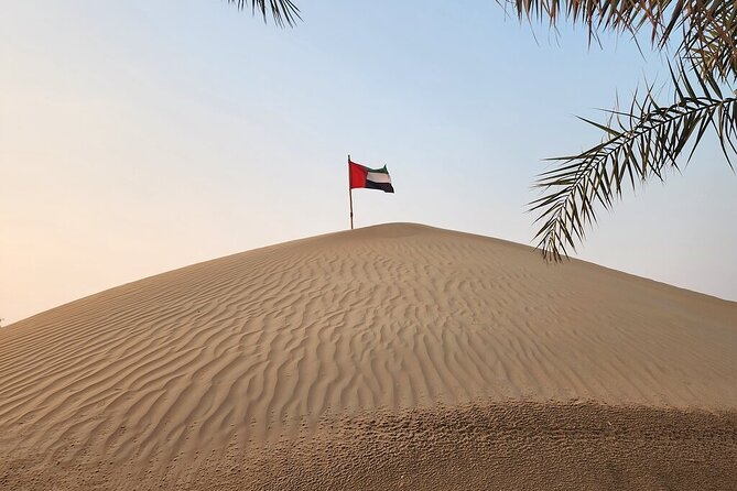 Dubai: Desert Safari Adventure, Camel Ride, BBQ Dinner & Shows. - Cancellation Policy