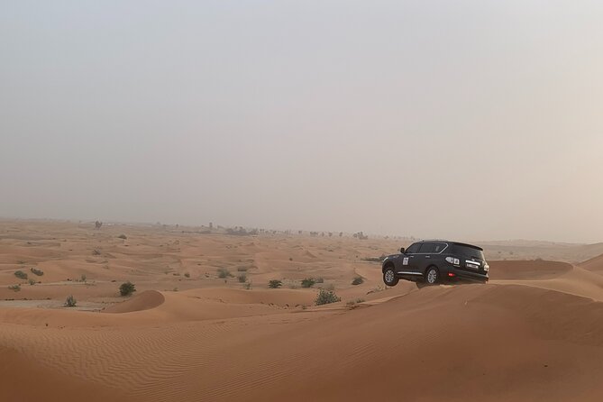 Dubai Desert Safari-Bbq Dinner, Belly Dance, Fire Show - Pricing and Booking