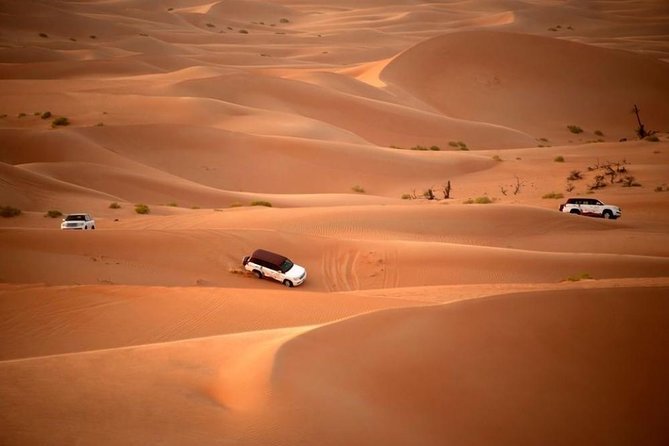 Dubai Desert Safari by Camel and 4x4 Jeep With BBQ Dinner With Live Belly Dance - Price and Booking Details for Dubai Desert Safari