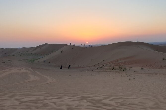 Dubai Desert Safari, Camel Ride and BBQ Dinner - Memories to Last a Lifetime