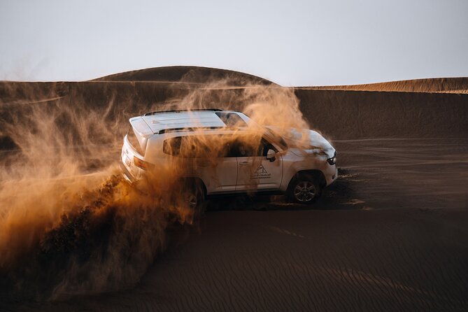 Dubai Desert Safari: Camel Ride, Sandboarding, BBQ & Soft Drinks - Logistics and Itinerary for the Desert Safari