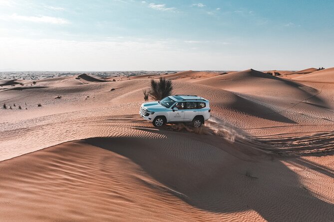 Dubai Desert Safari: Camel Ride, Sandboarding, BBQ & Spirits - Discover Thrilling Activities in Dubai